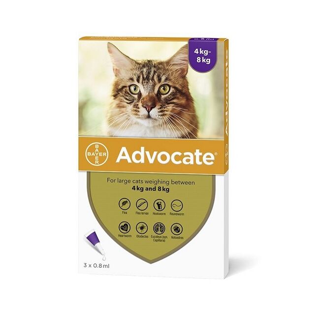 ADVOCATE 80 PISICA CAT (4 - 8 KG) - 3 PIPETE