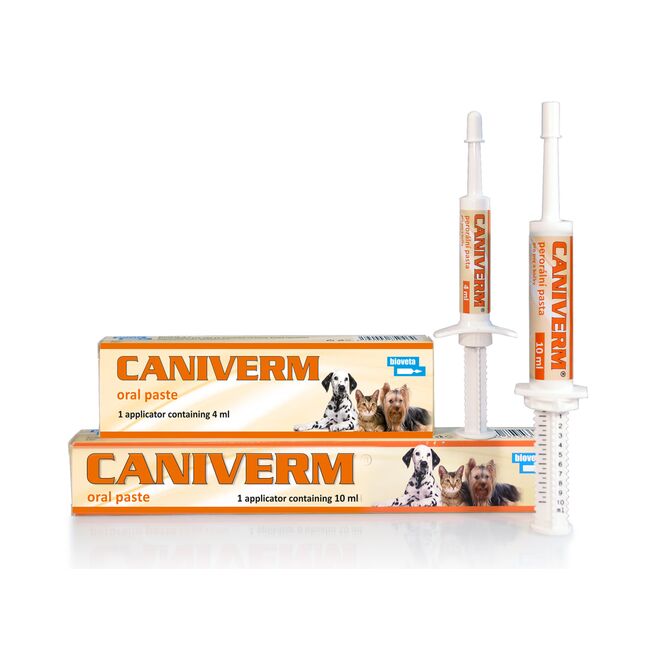 CANIVERM PASTA ORALA CAINE SI PISICA - SERINGA 10 ML