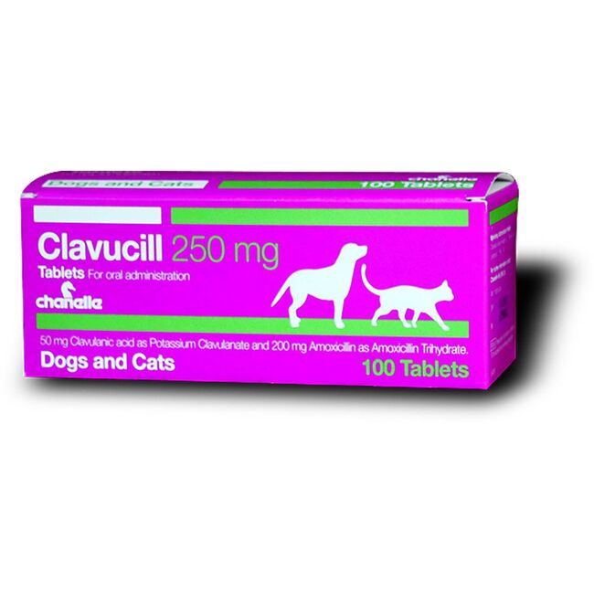 CLAVUCILL 250 MG - 10 TABLETE