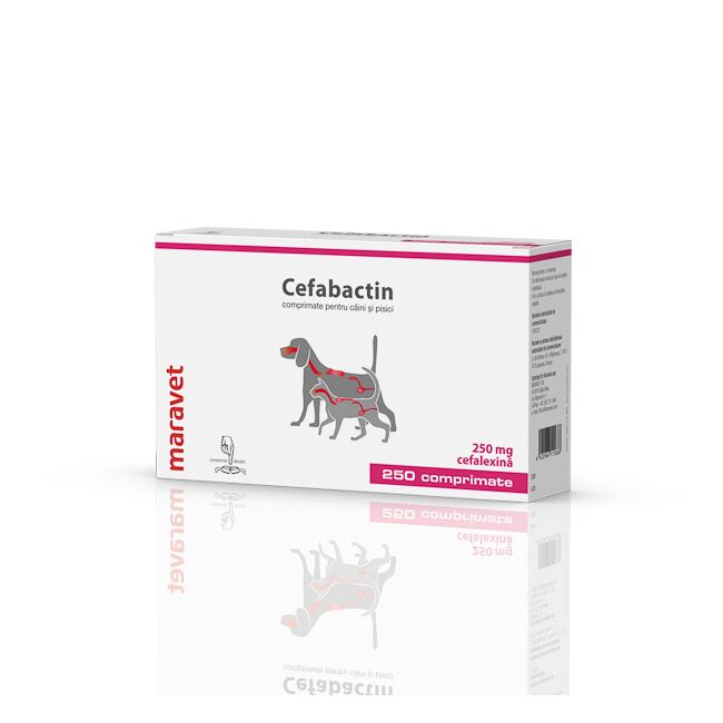 Cefabactin 250 mg 25x10 tab
