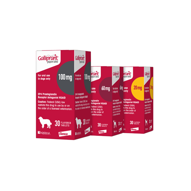 GALLIPRANT 100 MG - 30 TABLETE