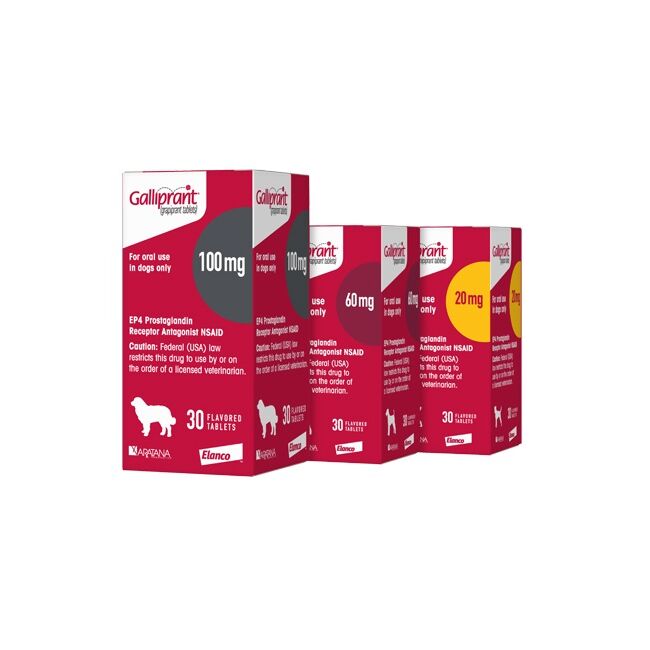 GALLIPRANT 60 MG - 30 TABLETE