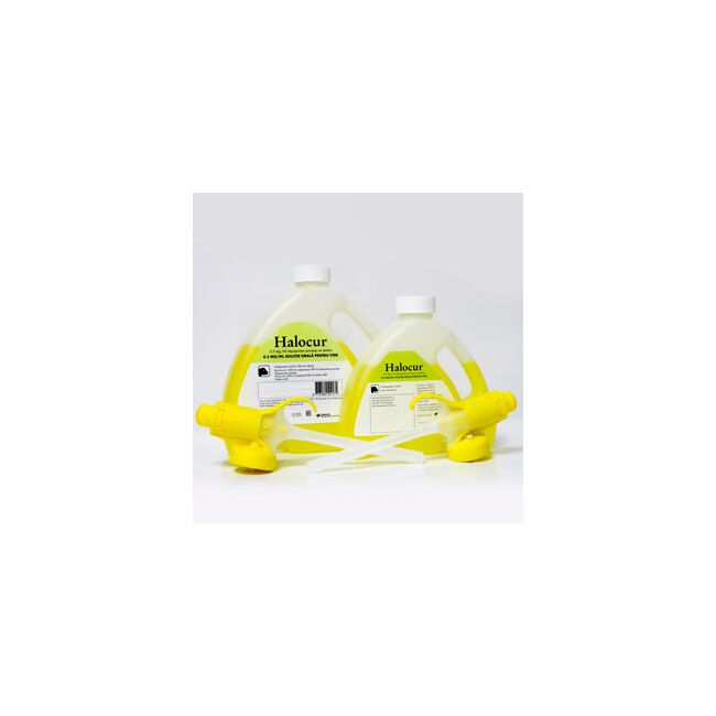 Halocur - 980 ml