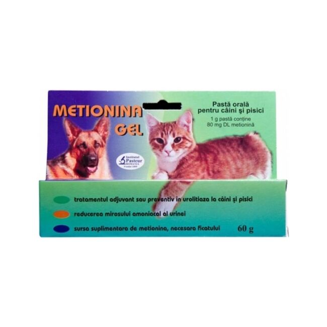 Metionina Gel - 60 g