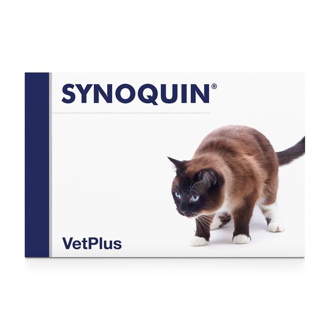 SYNOQUIN CAT - 30 CAPSULE