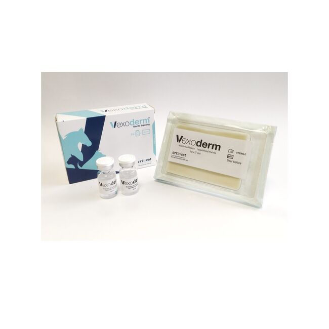 VEXODERM - PANSAMENT DE PLAGA 10 x 7 CM
